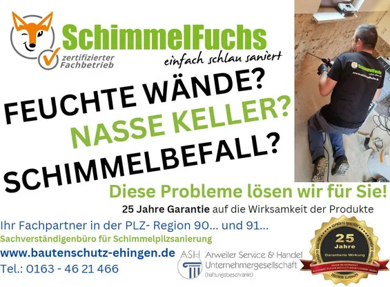 Plakat zu Schimmelsanierung